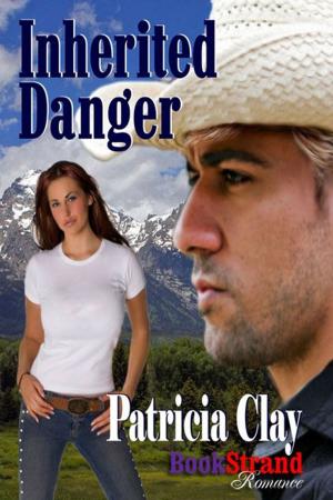 Cover of the book Inherited Danger by Lynn Hagen
