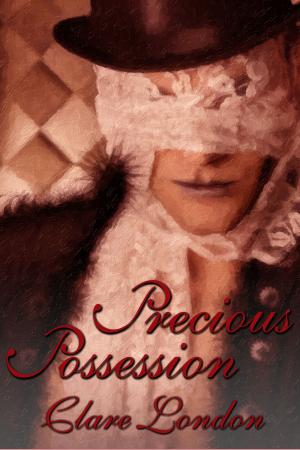 Cover of the book Precious Possession by Scott Alexander Hess