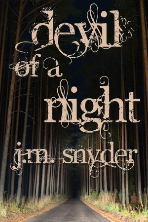 Cover of Devil of a Night
