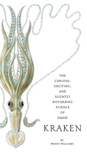 Cover of the book Kraken by Tom Angleberger