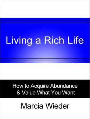 Book cover of Living a Rich Life