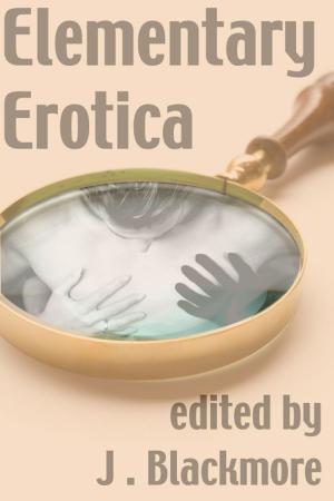 Cover of the book Elementary Erotica by Circlet Press Editorial Team