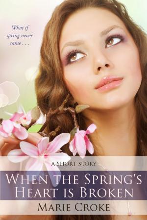 Cover of the book When the Spring's Heart is Broken by Brittany M. Willows