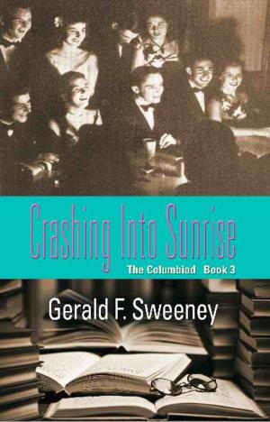 Book cover of CRASHING INTO SUNRISE: The Columbiad - Book 3
