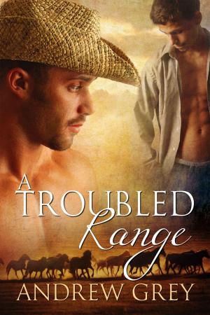Cover of the book A Troubled Range by Kaje Harper