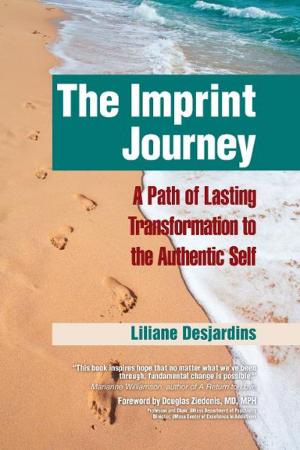 Cover of the book The Imprint Journey by Larry Hayes