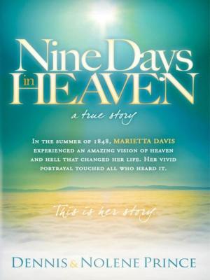 Cover of the book Nine Days in Heaven, A True Story by Rabbi Kirt A. Schneider