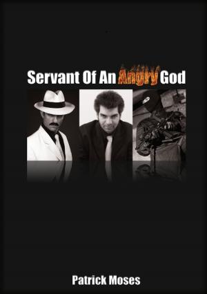 Book cover of Servant of an Angry God