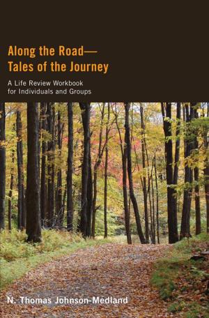 Cover of the book Along the Road—Tales of the Journey by George Pattison, Helle Møller Jensen