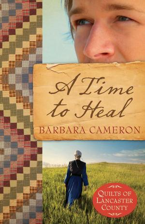 Cover of the book A Time to Heal by Melody Carlson