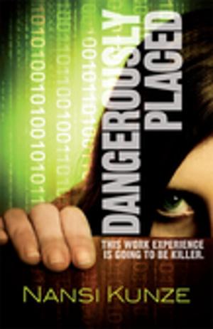 Cover of the book Dangerously Placed by Elise K. Ackers