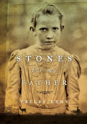 Cover of the book Stones for My Father by Ellen Schwartz