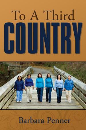 Cover of the book To a Third Country by Dr. Harrison Mungal