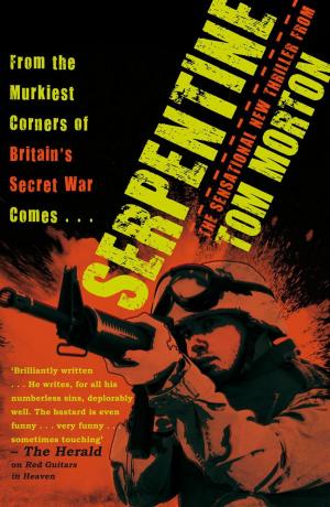 Cover of the book Serpentine by John Burrowes