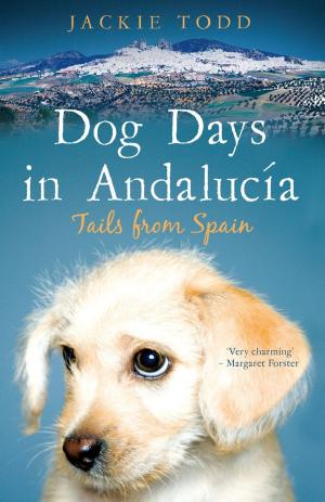 Cover of the book Dog Days in Andalucía by Jackie Turpin
