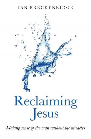 Cover of the book Reclaiming Jesus by Imelda Almqvist