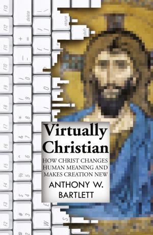 Cover of the book Virtually Christian by M. Malcolm D. Johnson