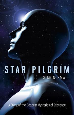 Cover of the book Star Pilgrim: A Story of the Deepest Mysteries of Existence by Brendan Howlin