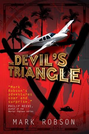 Cover of the book The Devil's Triangle by Candy Harper