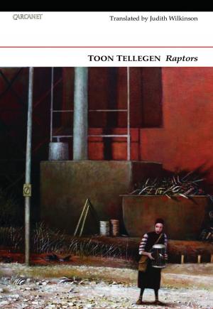 Cover of the book Raptors by Jeffrey Wainwright