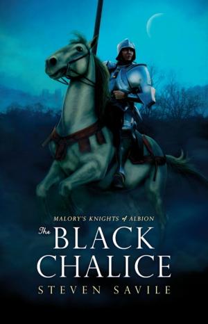 Cover of the book The Black Chalice by Natasha Rhodes