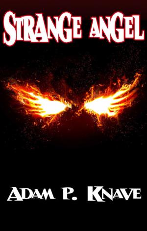 Cover of the book Strange Angel by Ruth Gogoll