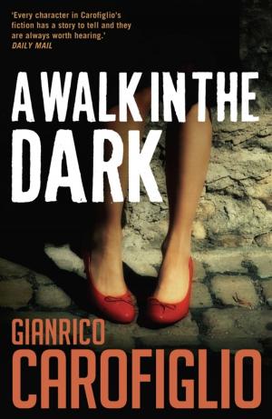Cover of the book A Walk in the Dark by Zygmunt Miloszewski