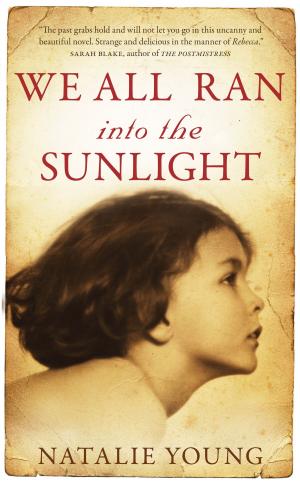 Cover of the book We All Ran into the Sunlight by Andrew Martin