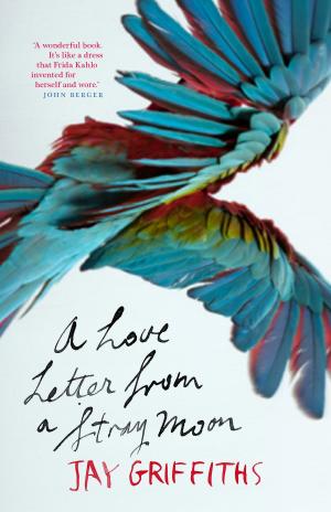 Book cover of A Love Letter from a Stray Moon