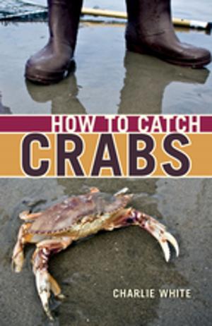 Cover of the book How to Catch Crabs by Judi Tyabji