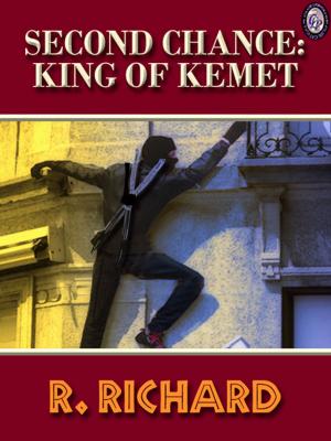Book cover of Second Chance King of Kemet