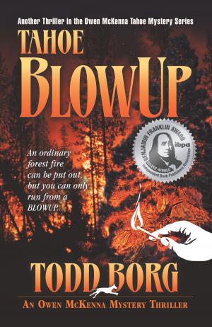 Book cover of Tahoe Blowup