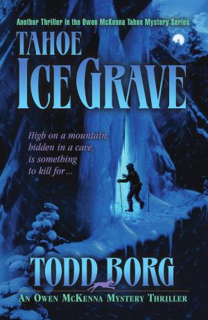 Cover of the book Tahoe Ice Grave by Robert Burton Robinson