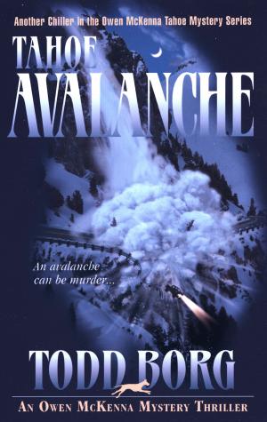 Book cover of Tahoe Avalanche