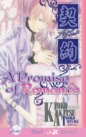 Cover of the book A Promise of Romance by Hanna Berghoff