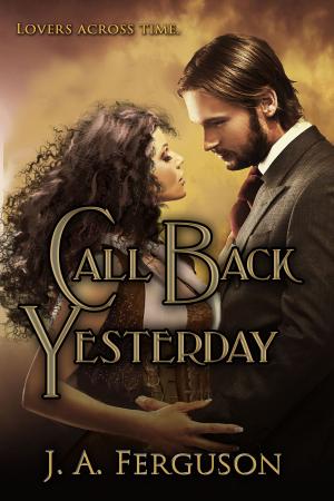 Cover of the book Call Back Yesterday by Piper Hannah
