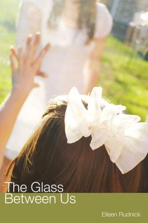 bigCover of the book The Glass Between Us by 