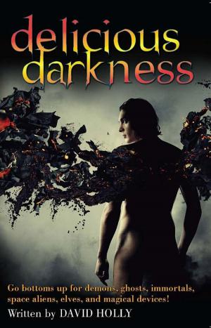 Cover of the book Delicious Darkness by Mickey Erlach