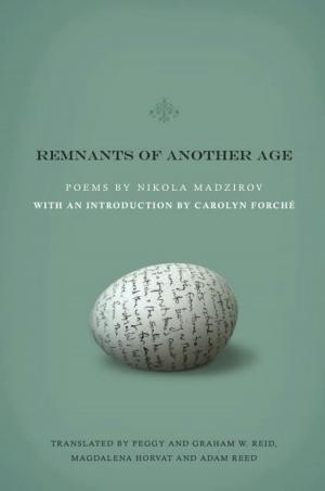 Cover of the book Remnants of Another Age by Sean Thomas Dougherty