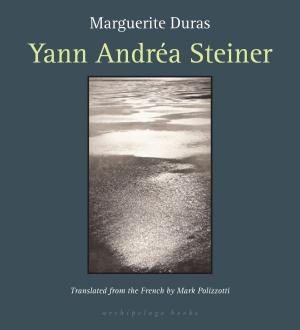 Cover of the book Yann Andrea Steiner by Rainer Maria Rilke