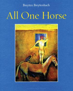 Book cover of All One Horse