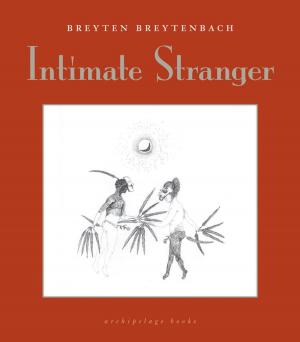 Cover of the book Intimate Stranger by Robert Hughes