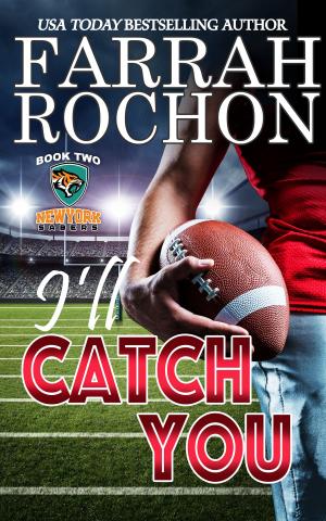 Cover of the book I'll Catch You by Iris Chacon