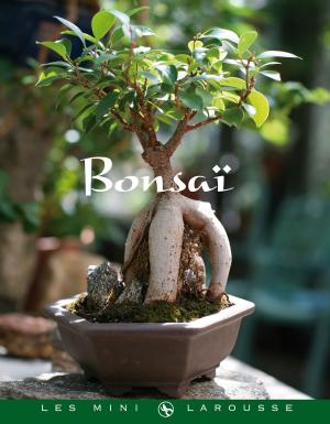 Cover of the book Bonsaï by Hélène Lasserre, Gilles Bonotaux