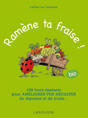 Cover of the book Ramène ta fraise ! by Amélie Bonnin