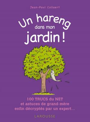 Cover of the book Un hareng dans mon jardin ! by Elisabeth de Lambilly