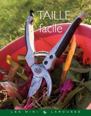 Cover of the book Taille facile by Bérengère Abraham