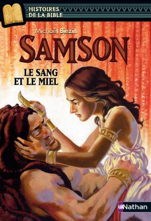 Cover of the book Samson, le sang et le miel - Histoires de la Bible - Dès 11 ans by Sylvie Allouche