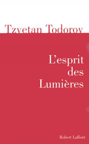 Book cover of L'esprit des Lumières