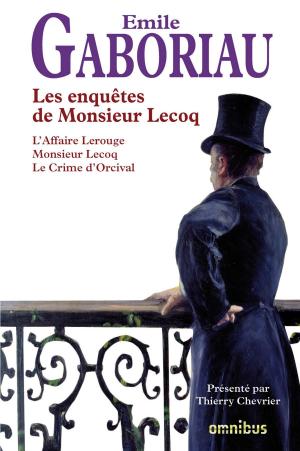 Cover of the book Les Enquêtes de M. Lecoq by Éric ALARY